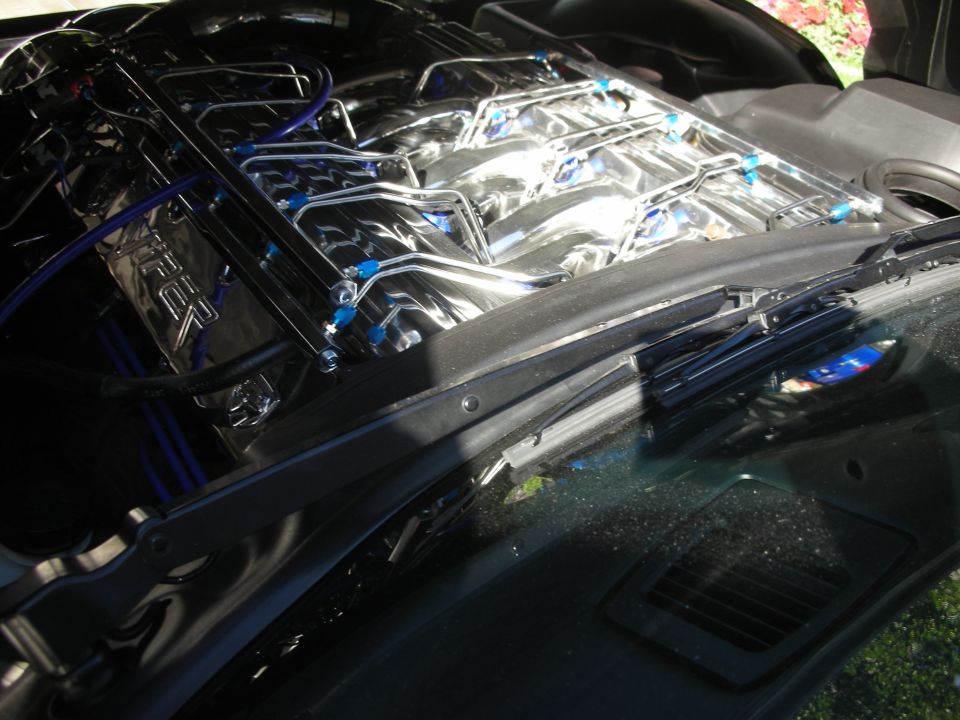 Polished engine with blue-tipped braided lines under a car hood