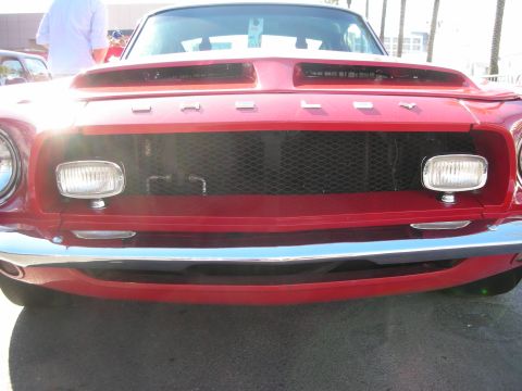 1998 Ford Crown Victoria - Close-up of a red Shelby Mustang's front grille showing the Shelby lettering, mesh grille and twin inset driving lights.