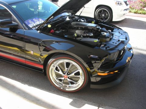 1998 Ford Crown Victoria - black Ford Mustang with red pinstripe, red-line tires and polished wheels sits with its hood up showing the engine bay.