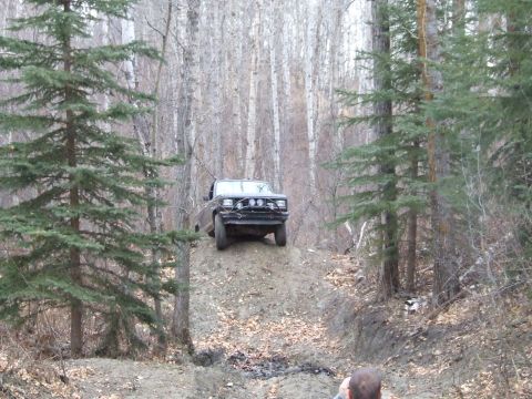 1990 Ford Bronco - A 1990 Ford Bronco navigates an off-road trail through a wooded area.