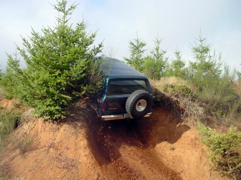 1979 Ford Bronco - Ford Bronco navigating a challenging off-road terrain, partially obscured by trees.