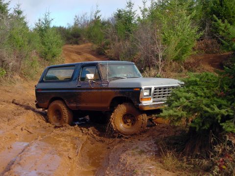 1979 Ford Bronco - This Ford Bronco is navigating a challenging muddy path, surrounded by dense foliage and trees.
