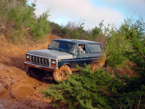 1979 Ford Bronco - This two-tone Ford Bronco tackles a challenging off-road course covered in mud.