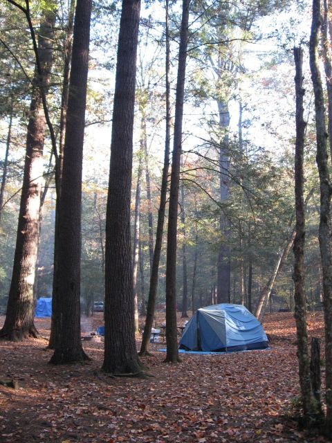 1995 Ford F-150 - Autumn campsite scene in a stand of tall pines and hardwoods with a blue and gray dome tent pitched on leaf litter, a second blue tarp shel…