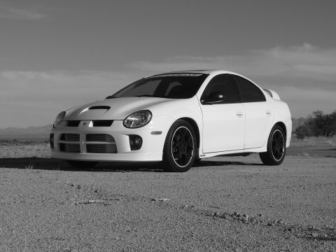 1996 Ford Probe - White Dodge Neon SRT-4 with aftermarket wheels parked outdoors under a cloudy sky.