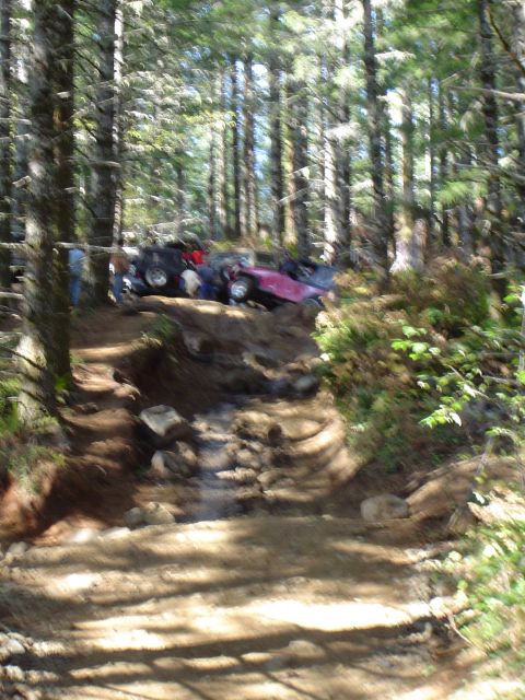 1978 Ford Bronco - Bad pic of the throttle happy jeep dude