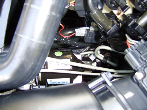 1996 Mercury Grand Marquis - Engine starter motor with visible part number label and surrounding engine bay components.