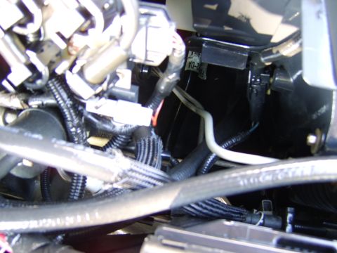 1996 Mercury Grand Marquis - Close-up view of complex engine wiring with various connectors and conduits.