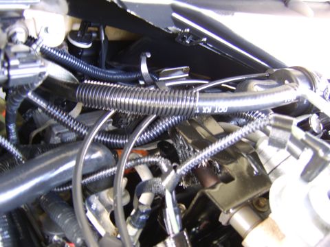 1996 Mercury Grand Marquis - Engine bay detail showing hoses and wiring, with 'DOT KXI 1' visible on a hose.