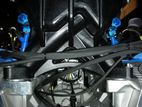1998 Ford Crown Victoria - Close-up of a black engine intake manifold with blue anodized fuel fittings and braided lines on a V8.