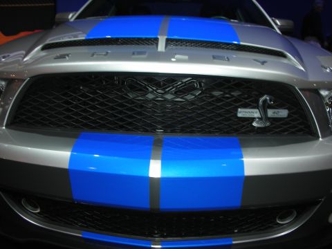 Front grille close-up of silver Shelby Mustang with blue stripes and snake badge