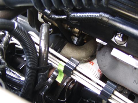 1996 Mercury Grand Marquis - A detailed view of various engine components, including hoses, wiring, and an oil filter, within a vehicle's engine compartment.