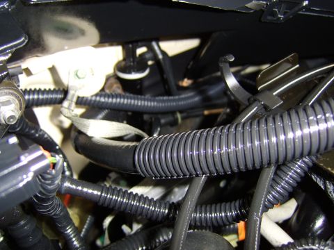 1996 Mercury Grand Marquis - A complex network of wires and tubing is visible in the engine bay, suggesting a detailed view of the vehicle's electrical system.