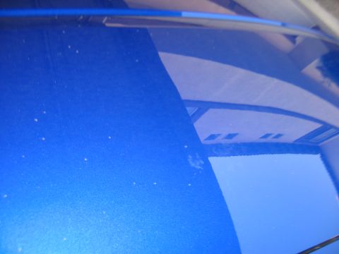 1990 Ford Probe - Pre-detail hood 1