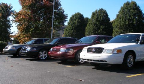 2001 Ford Crown Victoria - A line of Ford Crown Victoria sedans are parked in a lot on a sunny day.