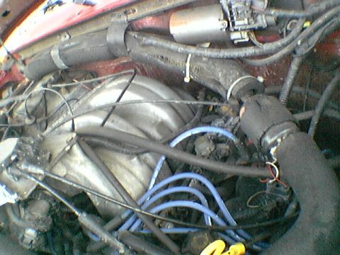 1989 Ford Bronco - Close-up view of a cluttered engine bay with various hoses and electrical components.