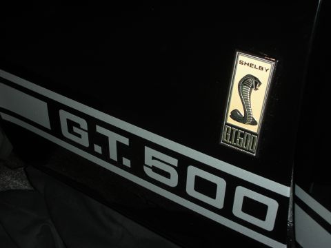 1998 Ford Crown Victoria - close-up shows G.T. 500 stripe lettering beside a gold Shelby Cobra GT500 emblem on glossy black bodywork.