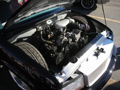 1998 Ford Crown Victoria - black car with hood open showing a small-block V8 with a red cone air filter, parked on outdoor pavement at a show.