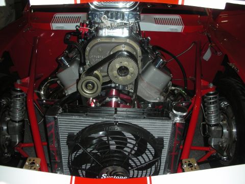 1998 Ford Crown Victoria - Detailed built V8 engine showing the front cover, serpentine drive, and electric cooling fan over an aluminum radiator in a red bay.
