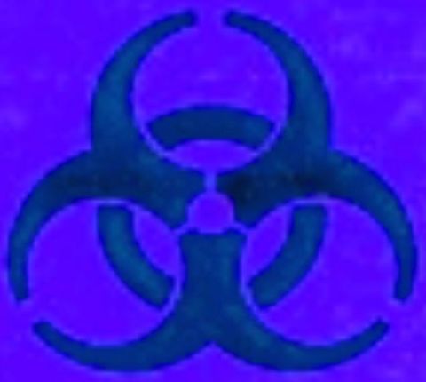 1996 Ford Taurus - A biohazard symbol is displayed on a blue background, with a website address visible at the bottom.