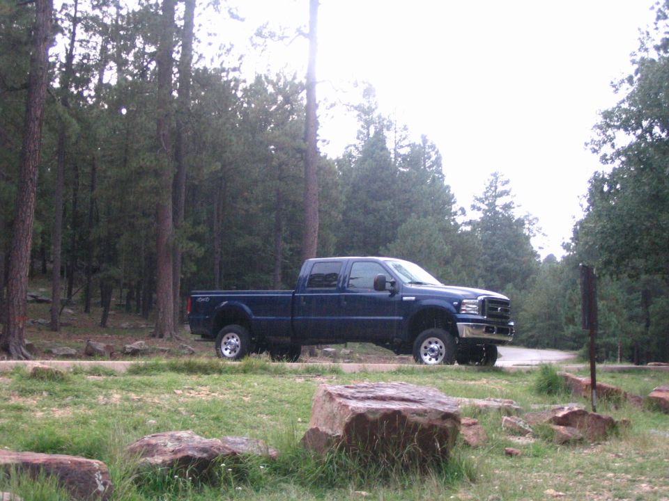 Dark blue crew cab pickup truck parked on a dirt road near pine trees