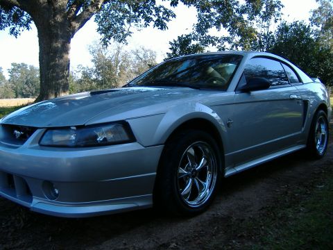 1999 Ford Mustang - This silver 1999 Ford Mustang coupe is parked on a dirt road with a large tree in the background.