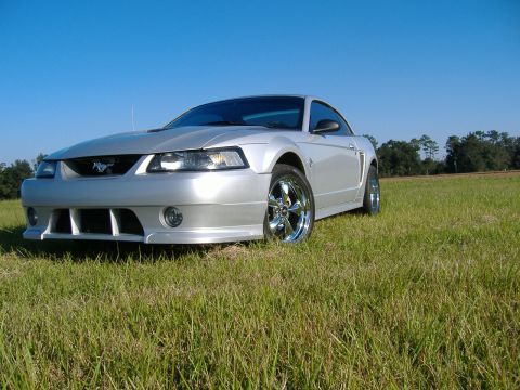 1999 Ford Mustang - A silver 1999 Ford Mustang coupe is shown from a three-quarter front view, parked in a grassy field under a clear blue sky.