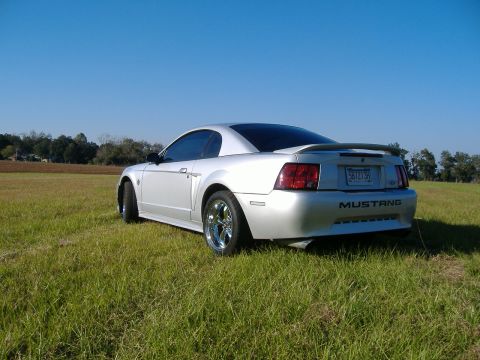 1999 Ford Mustang - Rear view of a silver 1999 Ford Mustang parked in a grassy field under a clear blue sky.