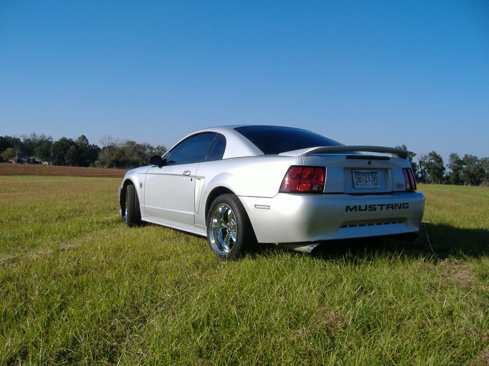 Silver 1999 Ford Mustang parked on grass with blue sky
