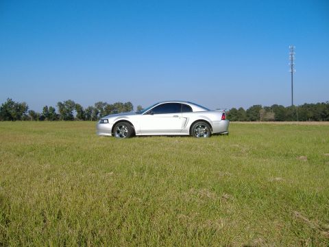 1999 Ford Mustang - A silver 1999 Ford Mustang is parked in a wide, open grassy field under a clear blue sky.