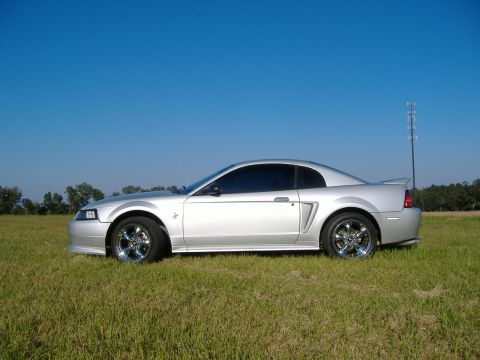 1999 Ford Mustang - A silver 1999 Ford Mustang coupe is parked in a grassy field with a clear blue sky above.