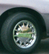 1996 Ford Taurus - before...