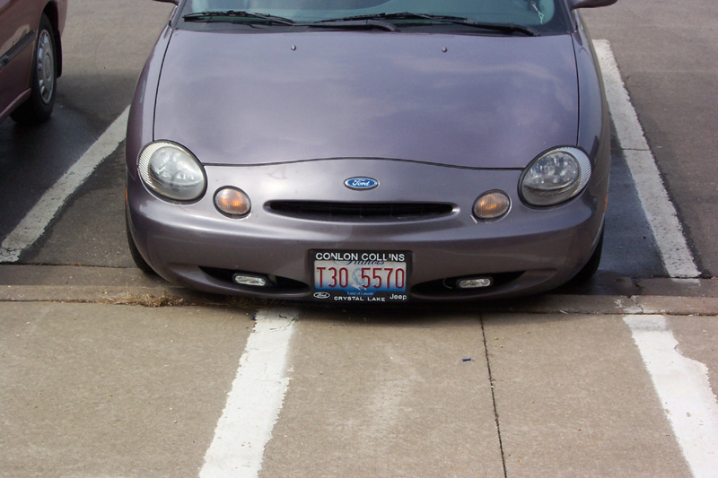 fogs in the daytime