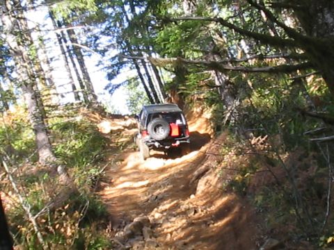1989 Ford Bronco - A black SUV navigates a steep, rocky dirt trail surrounded by dense forest.