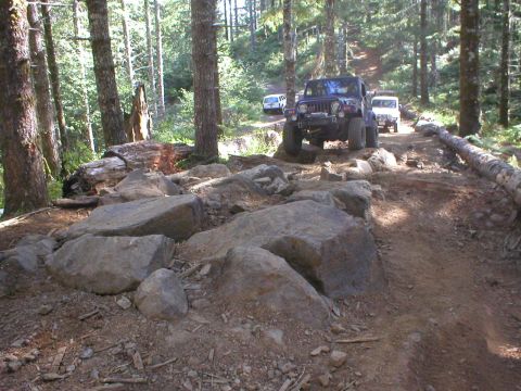 2005 Jeep Wrangler - Two Jeep Wranglers tackle a challenging rocky path through a dense forest.
