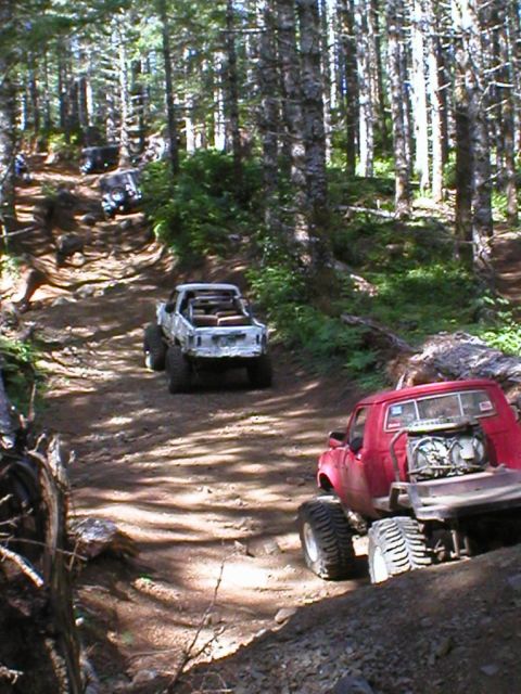 2005 Jeep Wrangler - Multiple off-road trucks navigate a challenging, wooded trail.