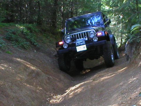 2005 Jeep Wrangler - Black Jeep Wrangler navigates a challenging dirt trail through a wooded area.