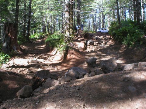 2005 Jeep Wrangler - A white SUV navigates a challenging, rocky path through a dense forest.