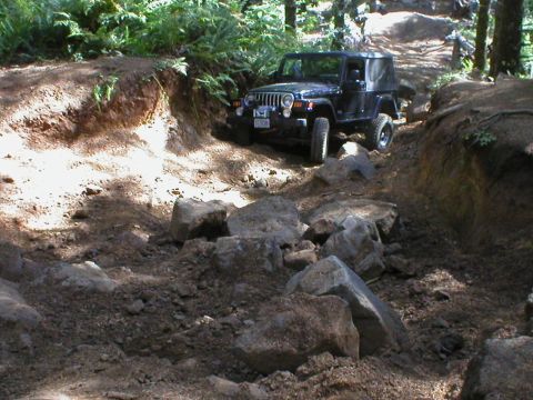2005 Jeep Wrangler - A black 2005 Jeep Wrangler navigates a challenging, rocky off-road trail surrounded by trees and foliage.