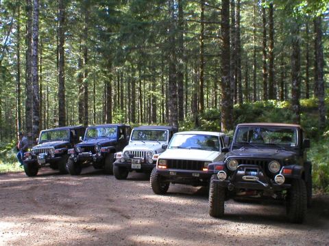 2005 Jeep Wrangler - A group of five Jeeps are parked in a forest clearing, with the front of each vehicle visible.