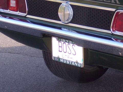 1973 Ford Mustang - The license plate on this Ford Mustang clearly indicates it is a 1973 model.