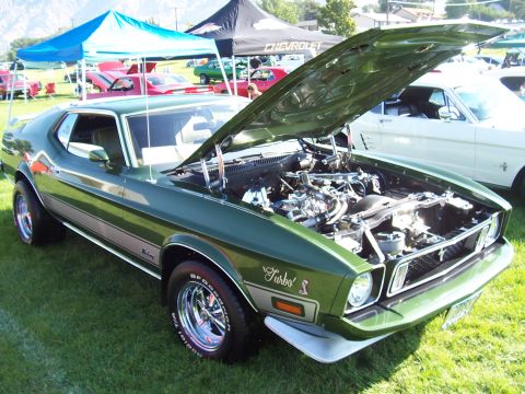 1973 Ford Mustang - A green 1973 Ford Mustang is displayed with its hood up at a car show, revealing the engine bay.