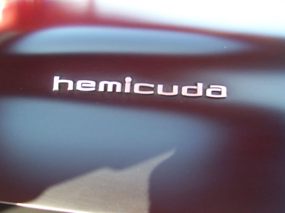 Close-up of a 'Hemicuda' badge on a car's body
