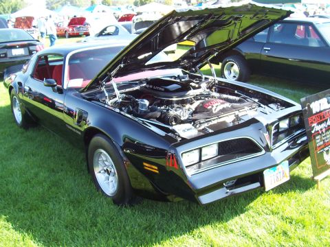 1973 Ford Mustang - Black 1979 Pontiac Firebird Trans Am at a car show, hood open to display the engine.