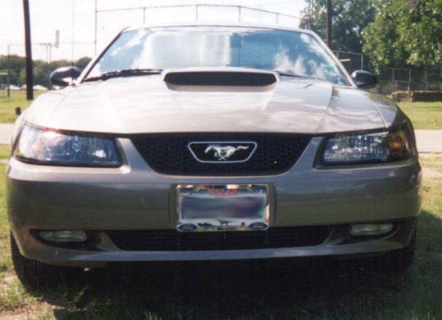 Front view of a gray Ford Mustang with hood scoop and pony grille emblem parked on grass