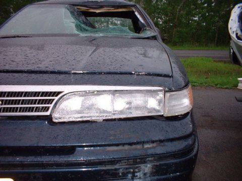 1996 Ford Crown Victoria - I hit this moose on the highway at around 90k/ph. 3 people were sleeping at the time of impact. Basically the moose fell into the windsheil…
