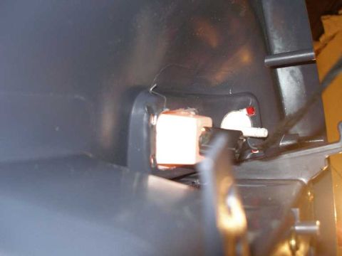 2001 Ford Crown Victoria - This photo shows the wiring harness for a door courtesy lamp, not the lamp itself.