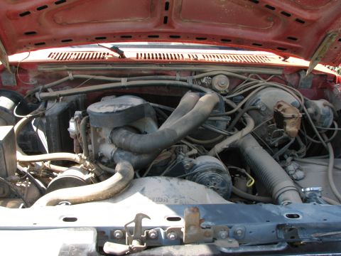 1986 Ford Bronco - engine before cleaning