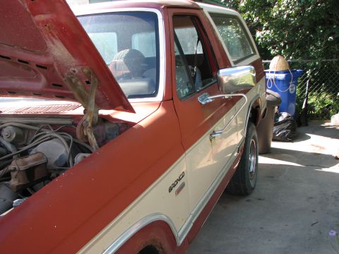 1986 Ford Bronco - The side profile of a classic Ford Bronco shows its two-tone paint and the open hood revealing the engine bay.