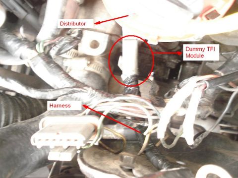 1986 Ford Bronco - Removed the module from the distributor and connected the dummy module harness. Picture is not good but will do.